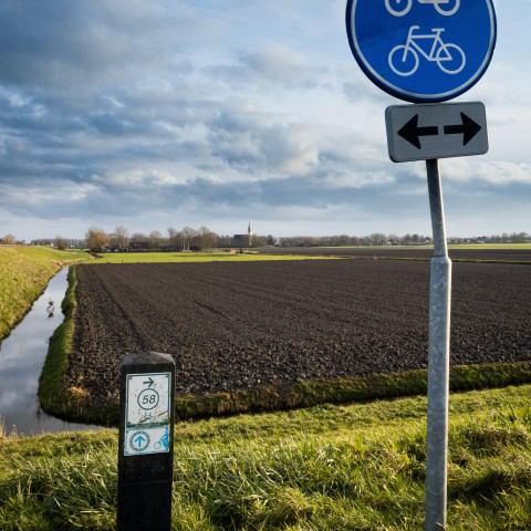 nederlands polderlandschap.jpg