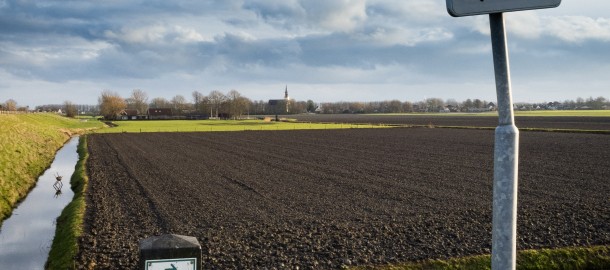 nederlands polderlandschap.jpg